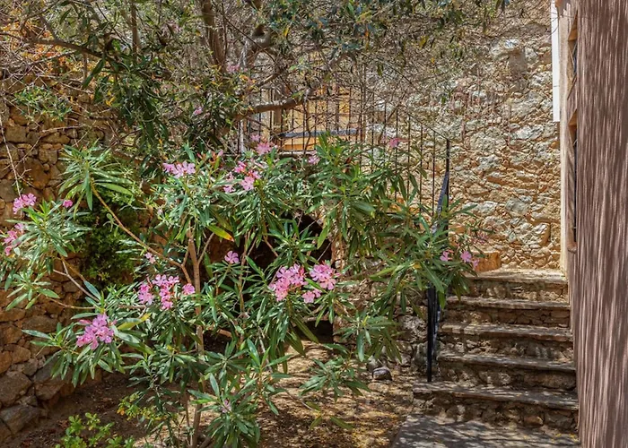 Casa Le Fornu Tatil Evi